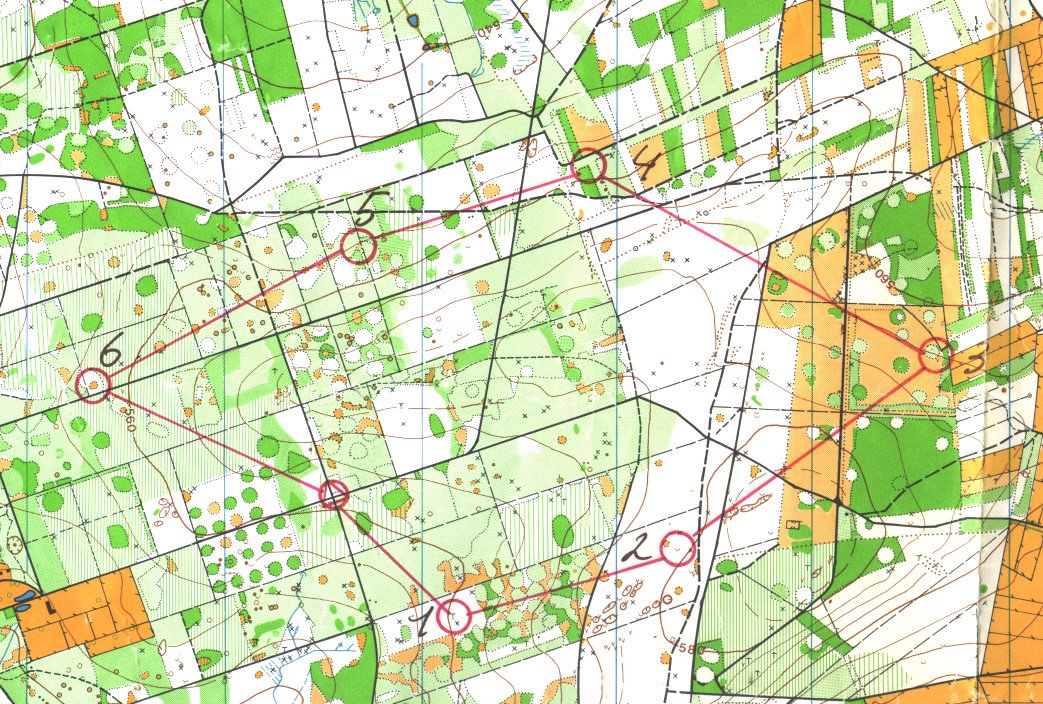 Regionaler OL (04.10.1986)