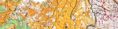 OrienteeringOnline.cup/2003