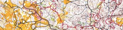 OrienteeringOnline.cup/2003