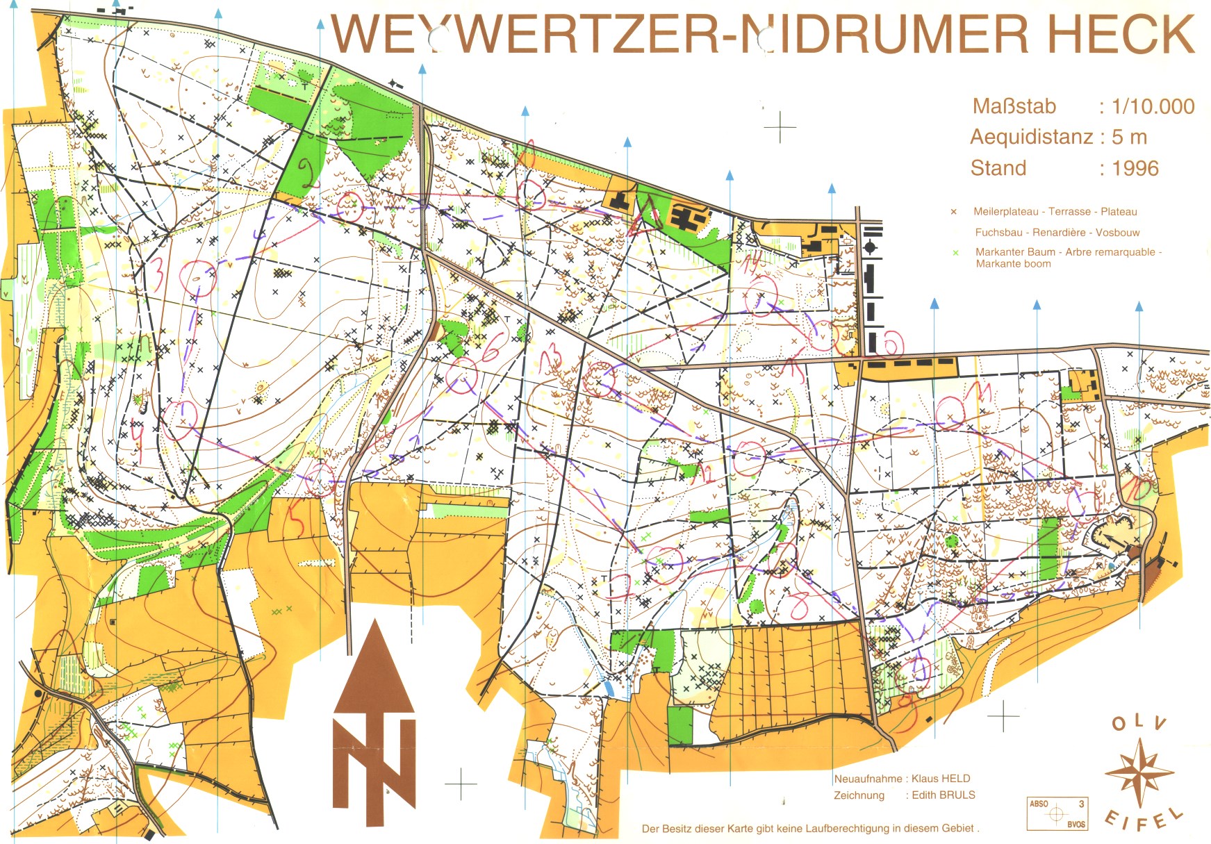 Regionaler OL (03.01.1999)