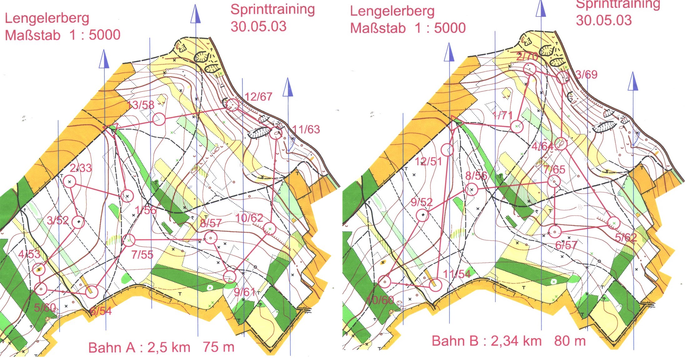 Sprinttraining (30.05.2003)